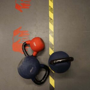 Push-Up Bars